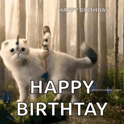 Woman Riding Giant Cat GIF