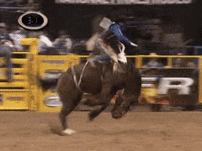 Woman Riding Horse Foothill Drive Safely Distributors Sign GIF