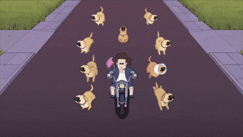 Woman Riding Motorcycle With Dog Watching GIF