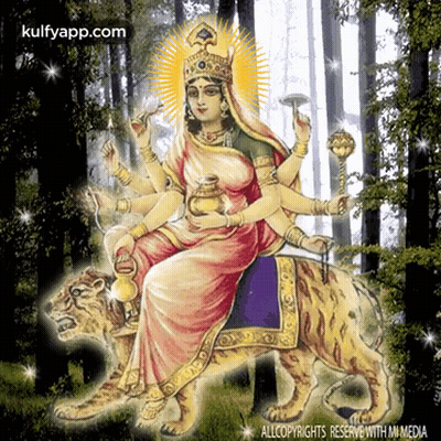 Woman Riding Tiger With Kulfyapp.com GIF