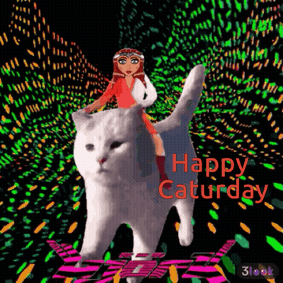 Woman Riding White Cat Happy Saturday GIF