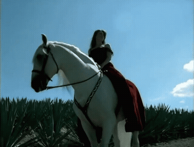 Woman Riding White Horse GIF