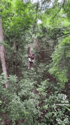 Woman Riding Zip Line Through Woods GIF