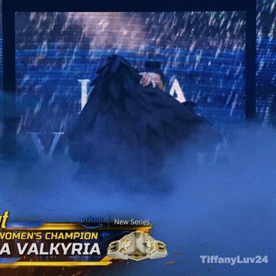 Woman's Champion Valkyria GIF
