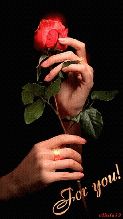 Woman's Hand Holding Red Rose Saying For You