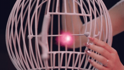 Woman's Hand Reaching Into Bird Cage With Pink Light GIF