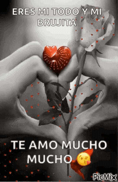 Woman's Hands Making Heart Shape With Rose GIF