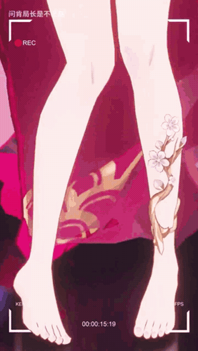 Woman's Legs With Red Rec Button GIF