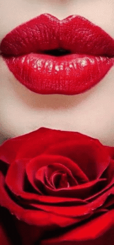 Woman's Lips Close Up Red Lipstick Red Rose GIF