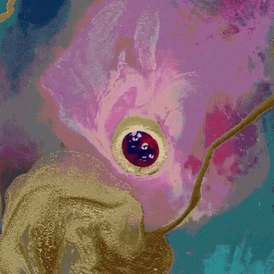 Woman's Mouth With Gold Coin GIF
