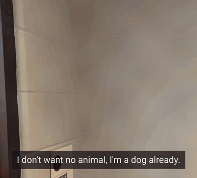 Woman Saying I Don't Want No Animal I'm A Dog Already GIF