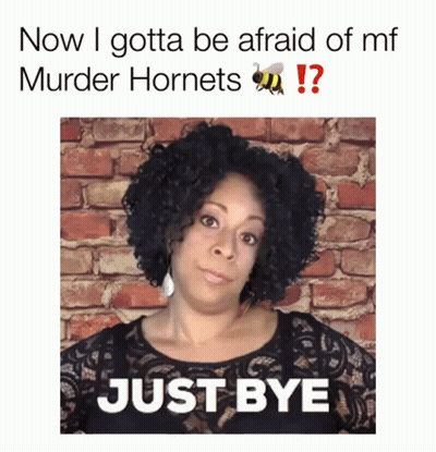 Woman Saying Just Bye In Front Of Brick Wall With Bee GIF