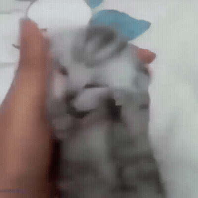 Woman Says I Care Center Stage Logo GIF