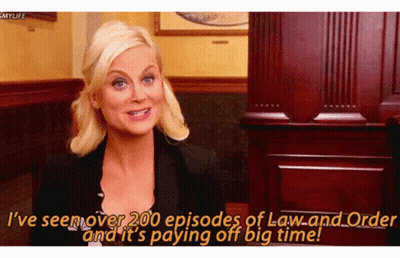 Woman Says I've Seen Over 200 Episodes Of Law And Order And It's Paying Off GIF