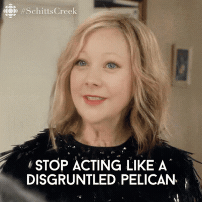 Woman Says Stop Acting Like A Disgruntled Pelican GIF
