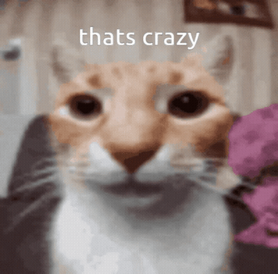 Woman Says That's Crazy To Me In Front Of BET Logo GIF