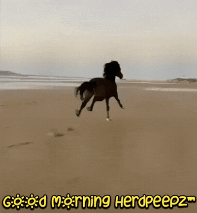 Woman Singing Into Microphone In Esp4 Jacket GIF