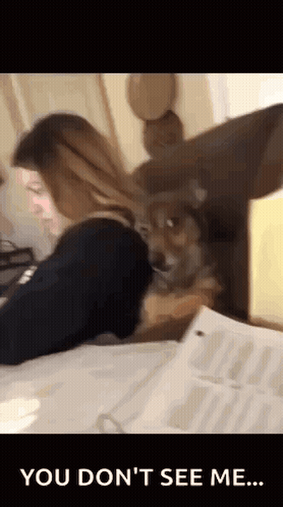 Woman Sitting At Desk With Dog Says You Don't See Me GIF
