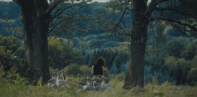 Woman Sitting In Field With Geese GIF