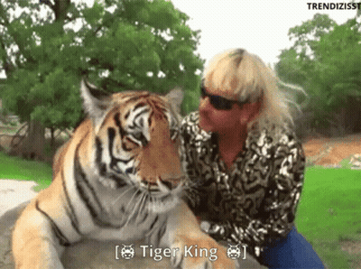 Woman Sitting Next To Tiger With Tiger King GIF