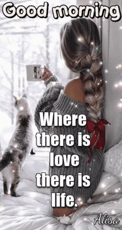 Woman Sitting On Bed With Two Cats GIF