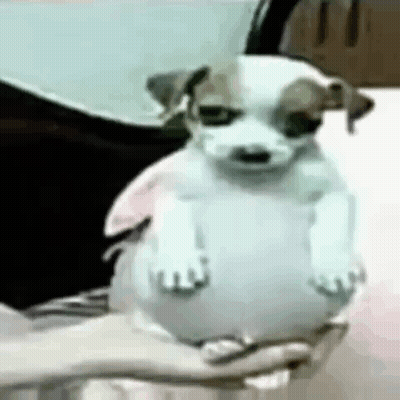Woman Sitting On Couch Making Face GIF