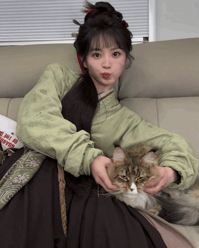 Woman Sitting On Couch With Cat And Bag Saying Road Of The Dead GIF