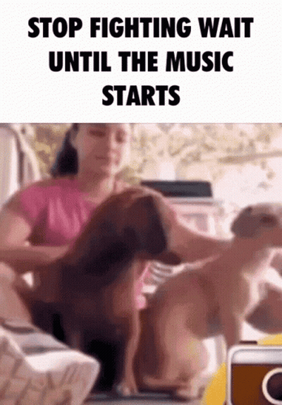 Woman Sitting On Couch With Two Dogs Stop Fighting Wait Until Music Starts GIF