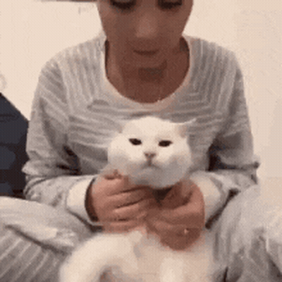 Woman Sitting On Floor Holding White Cat GIF