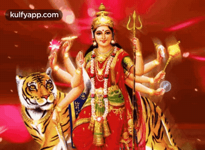 Woman Sitting On Top Of Tiger GIF