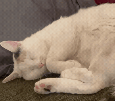 Woman Sitting With Hand On Chin GIF