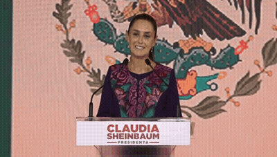 Woman Standing At Podium With Mexican Flag GIF
