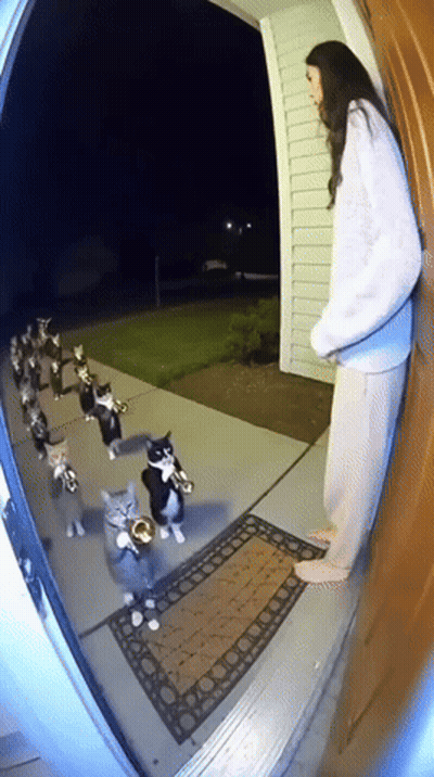 Woman Standing In Front Of Door With Cats Playing Instruments GIF