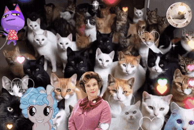 Woman Standing In Front Of Group Of Cats GIF