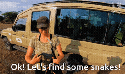 Woman Standing In Front Of Vehicle GIF