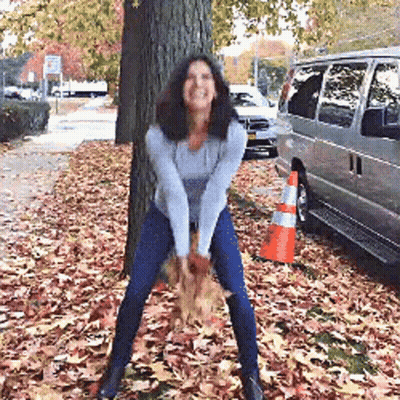 Woman Standing In Pile Of Leaves Next To Van GIF