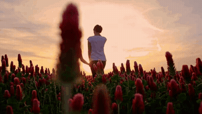 Woman Standing In Red Flowers Holding Flower GIF