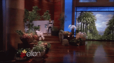 Woman Standing In Room With Flowers And Word Ellen GIF
