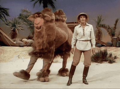 Woman Standing Next To Camel With Cartoon Face GIF
