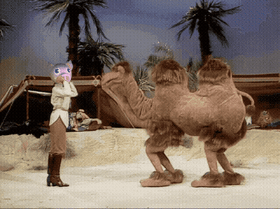 Woman Standing Next To Camel With Cat Head GIF