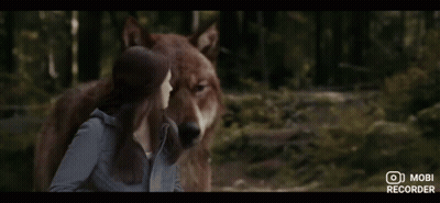 Woman Standing Next To Large Wolf With Mobi Recorder GIF