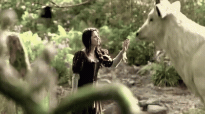 Woman Standing Next To White Wolf In Forest GIF