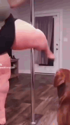 Woman Standing On Pole In Living Room With Dog Behind GIF