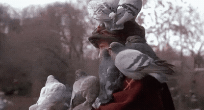 Woman Surrounded By Pigeons GIF