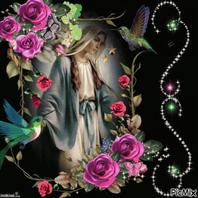 Woman Surrounded By Pink Roses And Hummingbirds Picmix GIF