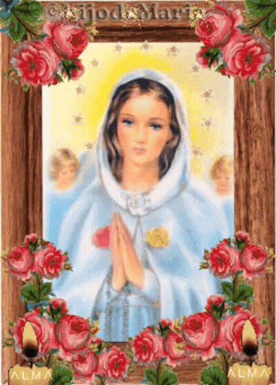 Woman Surrounded By Pink Roses With Alma GIF