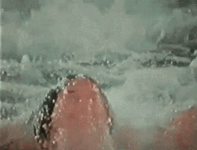 Woman Swimming In Pool With Canada Sign GIF