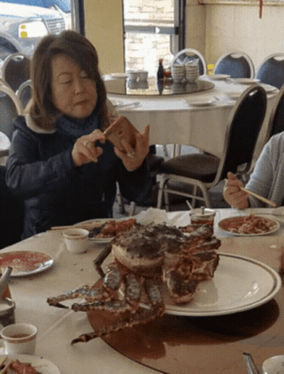 Woman Taking Picture Of Crab GIF