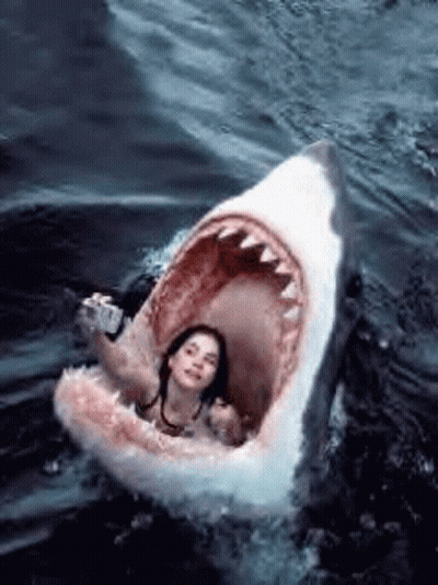 Woman Taking Selfie In Shark's Mouth GIF