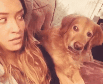 Woman Taking Selfie With Dog GIF